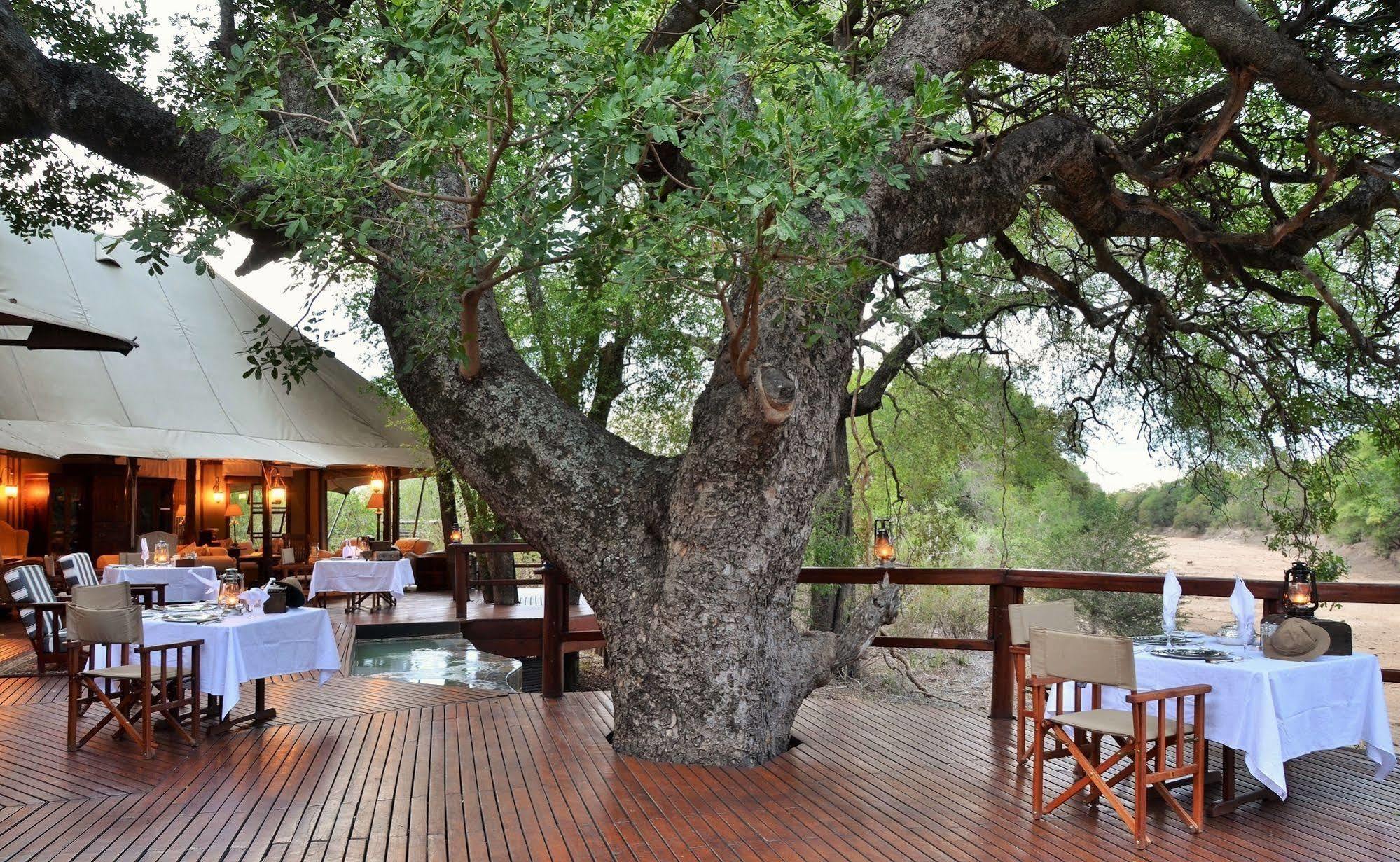 Hamiltons Tented Camp Mluwati Concession Kültér fotó